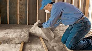 Best Eco-Friendly or Green Insulation Solutions  in Allison, IA