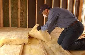 Best Garage Insulation  in Allison, IA