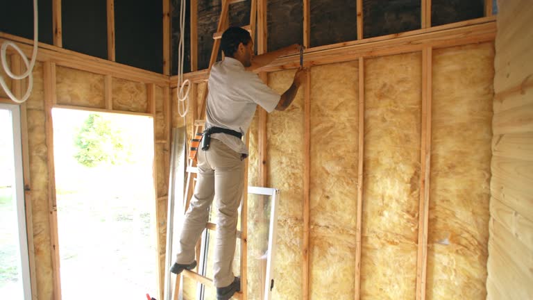 Best Fireproof Insulation  in Allison, IA