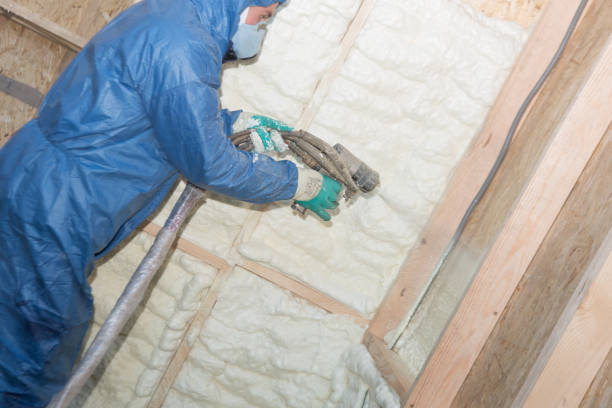 Best Reflective Insulation  in Allison, IA